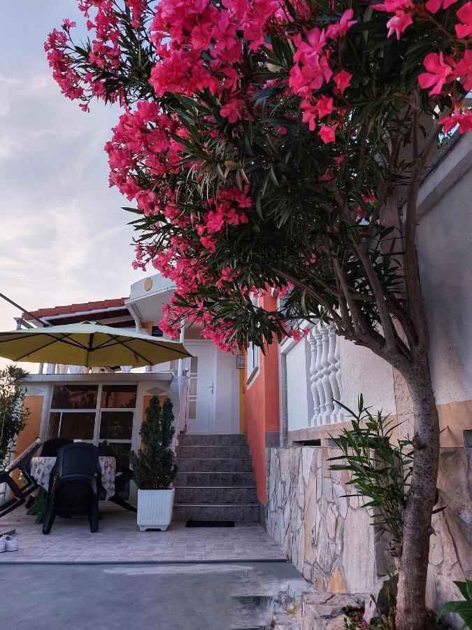 Apartments Dumic קריקווניצה מראה חיצוני תמונה