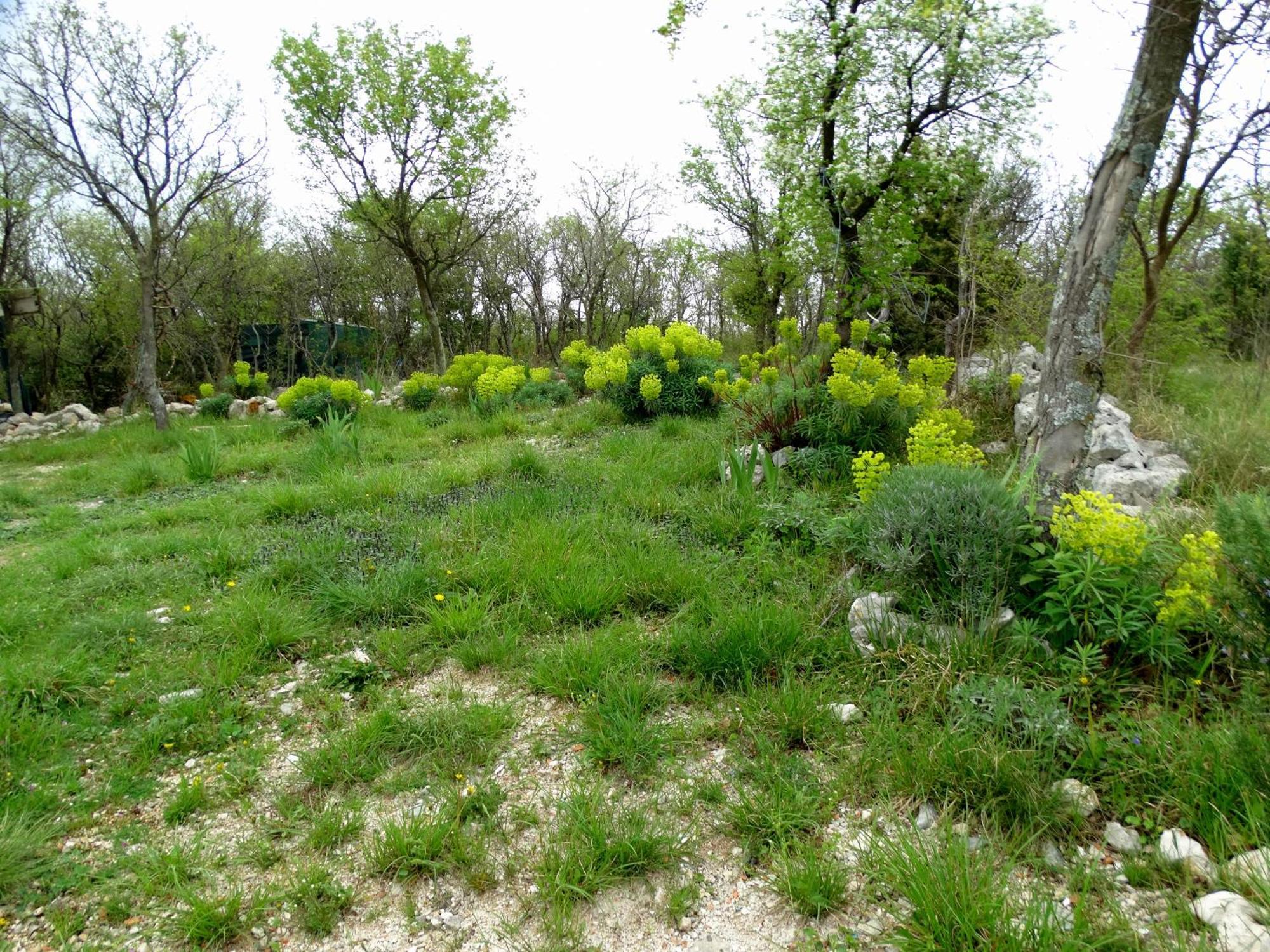 Apartments Dumic קריקווניצה מראה חיצוני תמונה