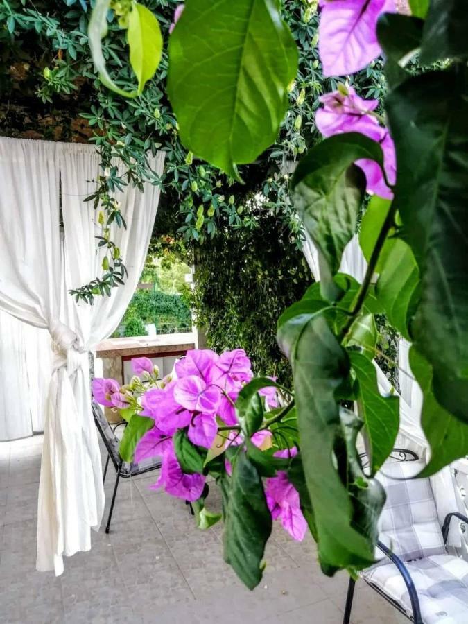 Apartments Dumic קריקווניצה מראה חיצוני תמונה